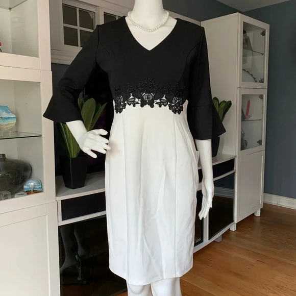 **NEW Enfocus Studio Embroidered Sheath Dress - Picture 1 of 12